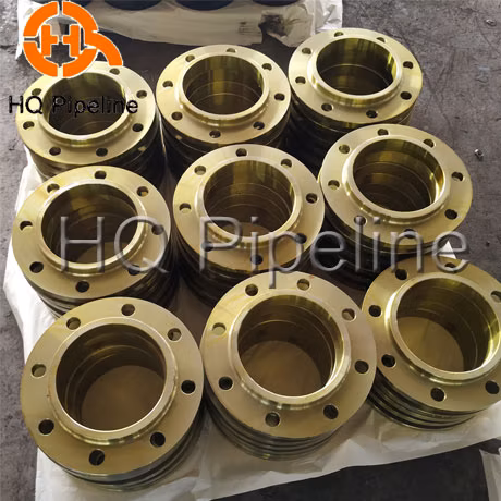 ANSI B16.5/DIN/En1092/GOST/BS Forged/Forging Fitting Carbon/Stainless Steel Pn10/16 Welding/Weld Neck/Threaded/Blind/Slip on/Flat Plate/Socket RF/FF Pipe Flange